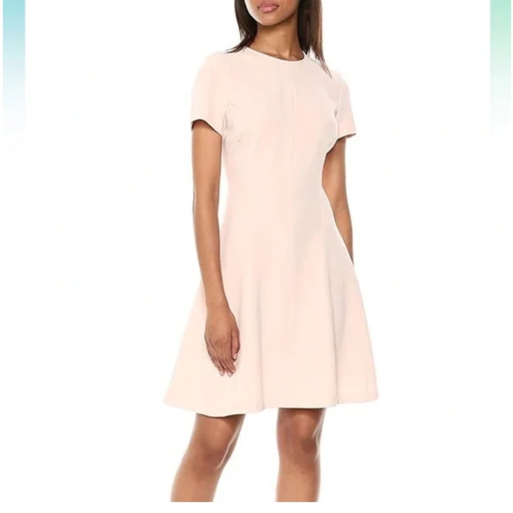Theory Modern Seamed Dress in Sheer Pink